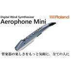 ウインドシンセサイザー エアロフォンミニ