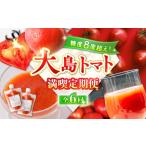 野菜類 トマト 6回定期便 トマトづくし定期便