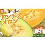 メロン メロン赤肉 紅白アンデスメロン 青肉