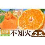 特選 濃厚 不知火 通称デコポン 約2.5kg