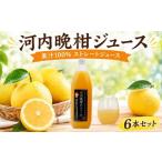 果汁飲料 みかん 果汁100% ストレートジュース