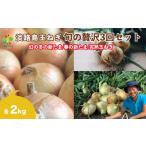 野菜類 玉ねぎ 全3回定期便 淡路島たまねぎ2kg