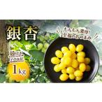 野菜類 銀杏 1kg