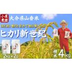 米 新米 令和8年産 精米 ヒカリ新世紀 4kg