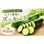 野菜類 茄子 ズッキーニ 約2kg
