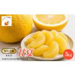 みかん 柑橘類 甘夏 予定 柑橘