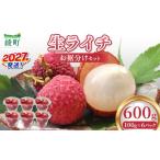 果物類 希少 綾生ライチ お裾分け セット 600g