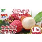 果物類 希少 綾生ライチ お裾分け セット 1.6kg