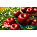 りんご 訳あり 先行受付 秋映 約10kg