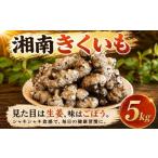 セット 詰合せ 菊芋 きくいも 湘南きくいも