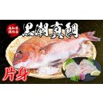旬の鮮魚等 養殖真鯛 片身 フィーレ 皮付き