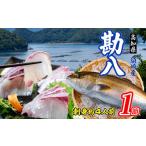 旬の鮮魚等 カンパチ 1節 皮なし ロイン 勘八