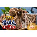 タコ 瀬戸内 海の幸 セット 真空 生タコ チルド