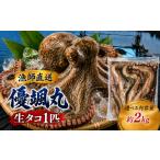 タコ 瀬戸内 海の幸 セット 真空 生タコ チルド