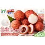 果物類 希少 綾生ライチ クエイメイピンク