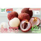 果物類 希少 綾 生ライチ 大粒 2L