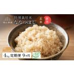 玄米 新米予約 9カ月定期便 特別栽培米 玄米ななつぼし2kg×…