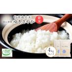 玄米 新米予約 玄米ななつぼし2kg ×2個セット