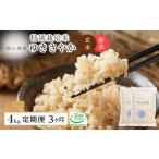 玄米 新米予約 3カ月定期便 特別栽培米 玄米ゆめぴりか2kg×…