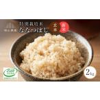 玄米 新米予約 玄米ななつぼし2kg 箱入