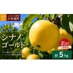 りんご 訳あり シナノゴールド 約5kg