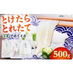 イカ とけたらとれたて アオリイカ 下処理