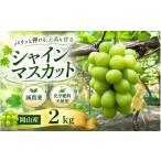 シャインマスカット 4房 2kg