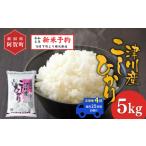 米 コシヒカリ 定期便 全4回 5kg×4回