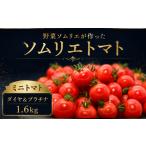 野菜類 トマト 特別栽培農産物 ソムリエミニトマト