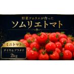 野菜類 トマト タゾエファーム うるわし 大玉 2kg