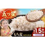 雑穀 全6回定期便 キラリモチ 1.5kg