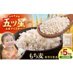 雑穀 全3回定期便 キラリモチ 5kg