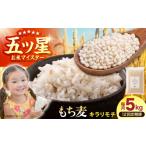 雑穀 全12回定期便 キラリモチ 5kg