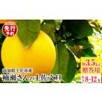 まる庄果樹園 楠瀬さんの土佐文旦 用小玉 約3.5kg
