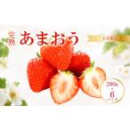 いちご 予定 福岡産 あまおう ichigo