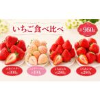 いちご いちごの極み 4種類 食べ比べ 苺 ichigo