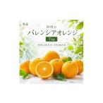 みかん 柑橘類 オレンジ 秀品 田村のバレンシアオレンジ 約…