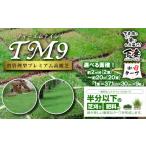 花 苗木 4m2分 省管理型プレミアム高麗芝