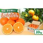 果物類 みかん 2027年度 たんかん10kg