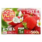 おいCベリー 約280g×2P
