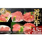 牛肉 セット 2ヶ月毎6回定期便 近江牛 A5等級の定期便