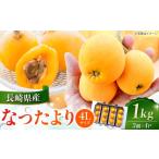 果物類 びわ 産びわ なつたより1kg 4Lサイズ3個×4P