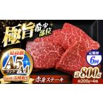 牛肉 ステーキ 南 6回定期便 赤身 800g