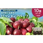 果物類 27年産 パッションフルーツ 10個