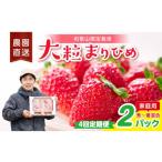 いちご 4回定期便 大粒の贅沢 毎月届く幸せ