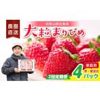 いちご 2回定期便 大粒の贅沢 毎月届く幸せ