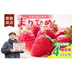 いちご 2回定期便 毎月届く幸せ まりひめ
