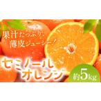 みかん 柑橘類 オレンジ セミノールオレンジ 約5kg