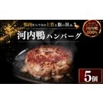 鴨肉 河内鴨100% ハンバーグ 100g×5個