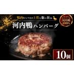 鴨肉 河内鴨100% ハンバーグ 100g×10個